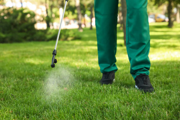 Best Best Pest Control Companies  in Warm Springs, CA