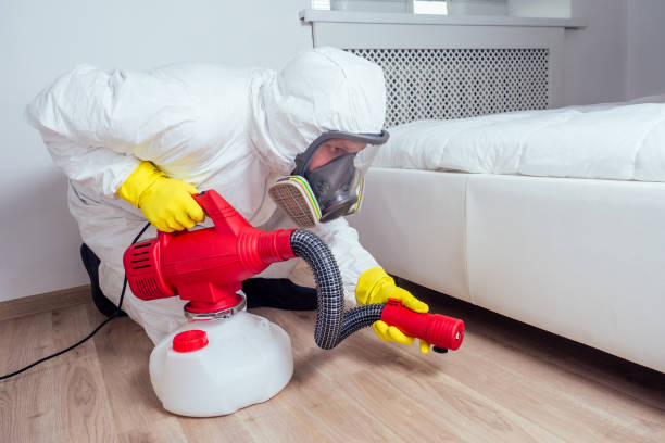 Best Pest Control for Homes  in Warm Springs, CA