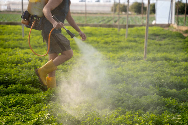 Best Pest Removal Services  in Warm Springs, CA