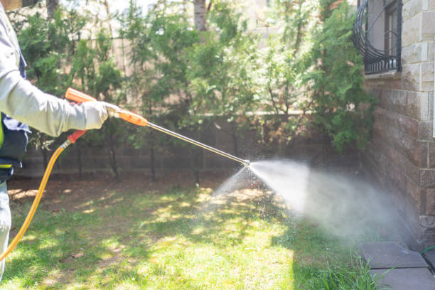 Best Flea Control Services  in Warm Springs, CA