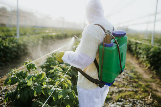 Flea Control Services in Warm Springs, CA